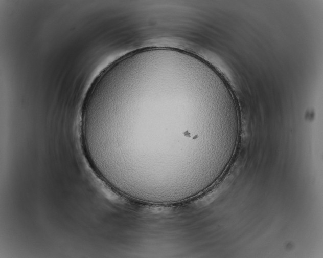 X0000100851040200807070928