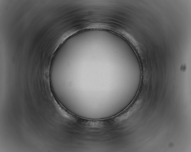 X0000100851041200807070928