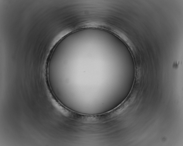 X0000100851042200807070928