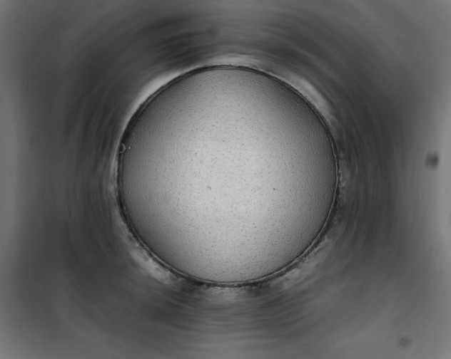 X0000100851044200807070928