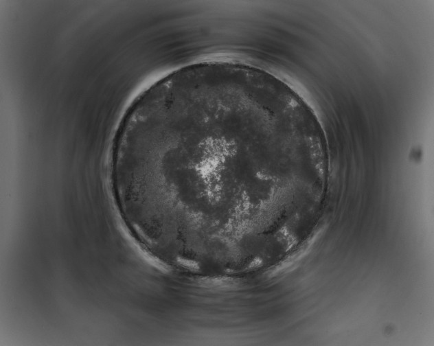 X0000100851045200807070928