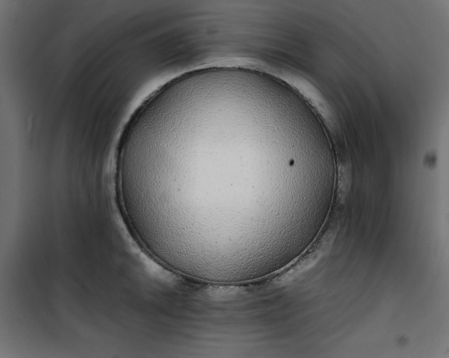 X0000100851046200807070928