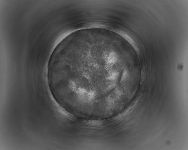 X0000100851047200807070928