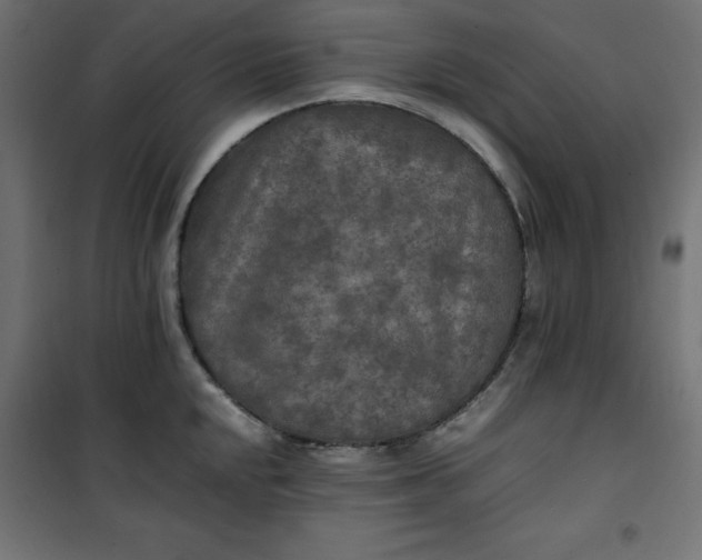 X0000100851048200807070928