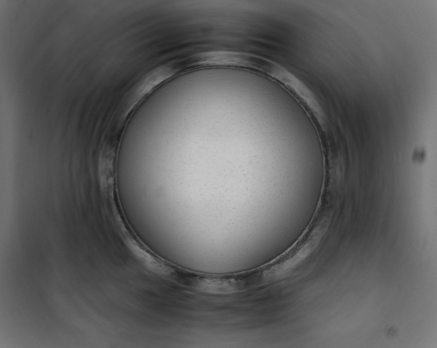 X0000100851049200807070928