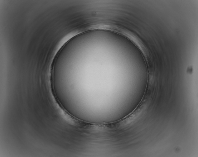 X0000100851050200807070928