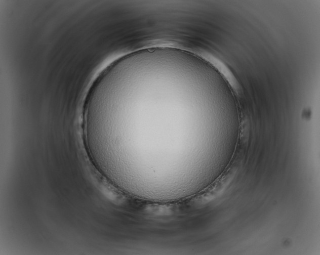 X0000100851051200807070928