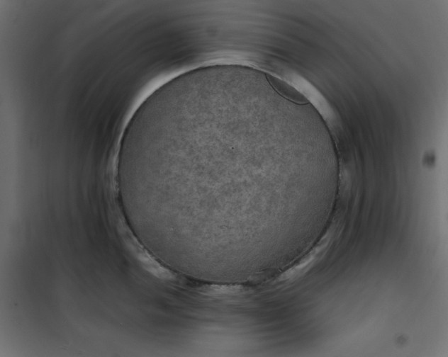 X0000100851052200807070928