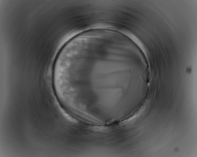 X0000100851053200807070928