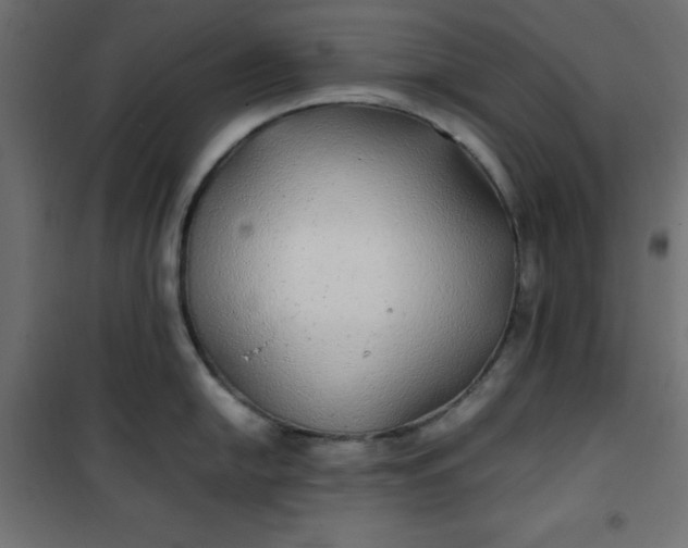 X0000100851054200807070928