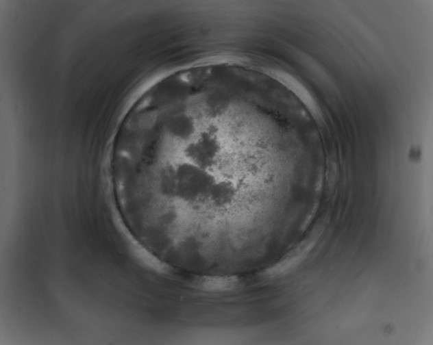 X0000100851055200807070928