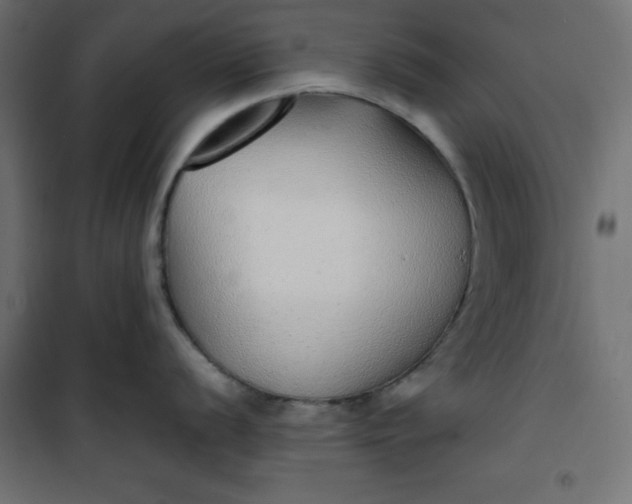 X0000100851056200807070928