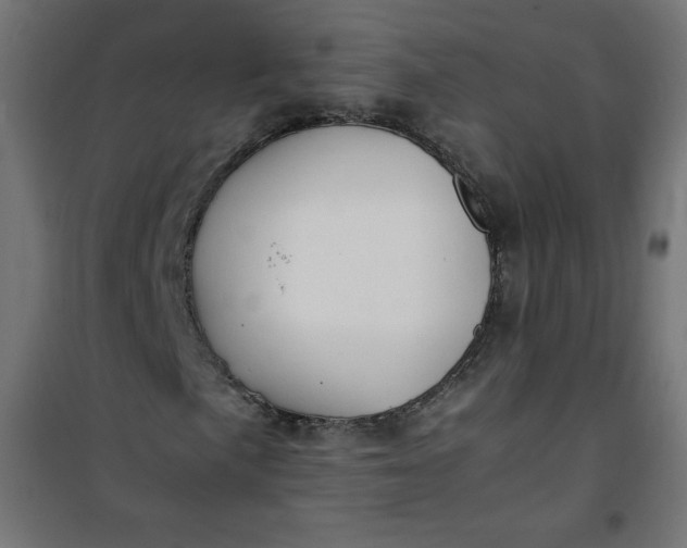 X0000100851057200807070928