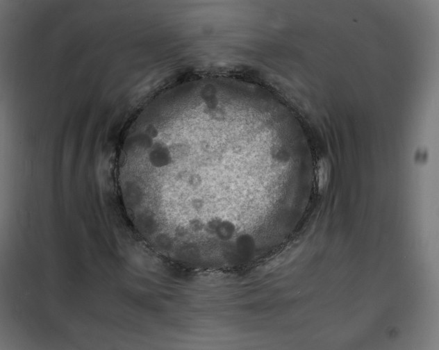 X0000100851059200807070928