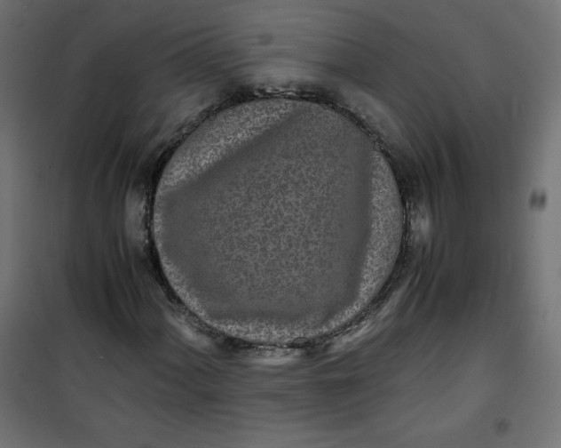 X0000100851060200807070928