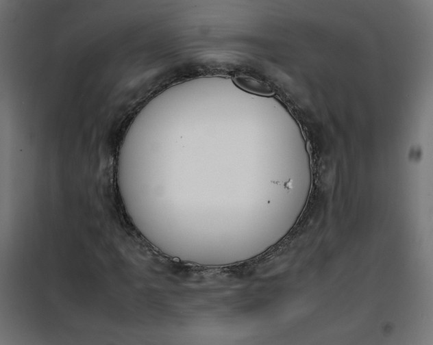 X0000100851061200807070928