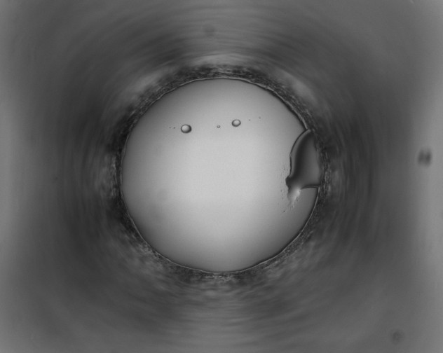 X0000100851062200807070928