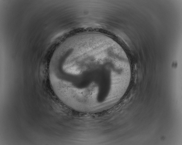 X0000100851063200807070928