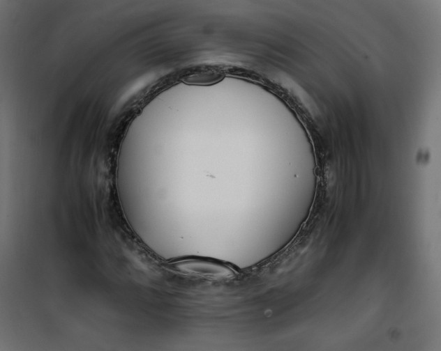 X0000100851064200807070928