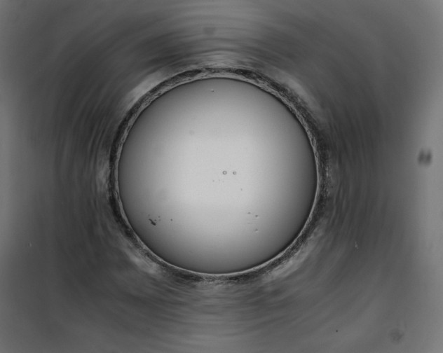 X0000100851065200807070928