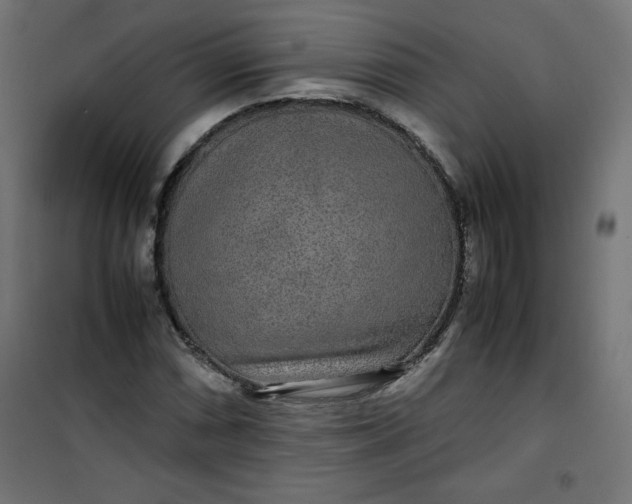 X0000100851066200807070928