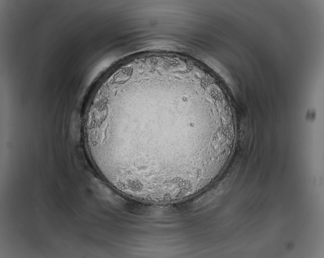 X0000100851067200807070928