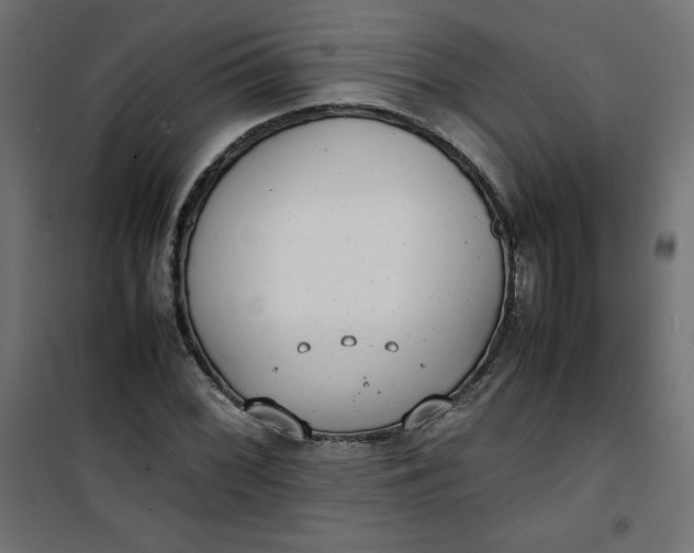 X0000100851068200807070928