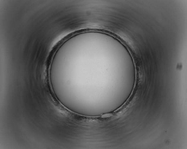 X0000100851070200807070927