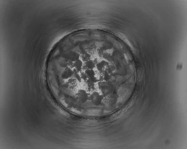 X0000100851071200807070927