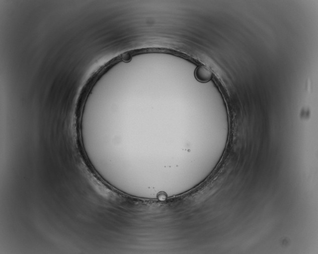 X0000100851072200807070927