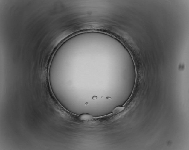 X0000100851073200807070927