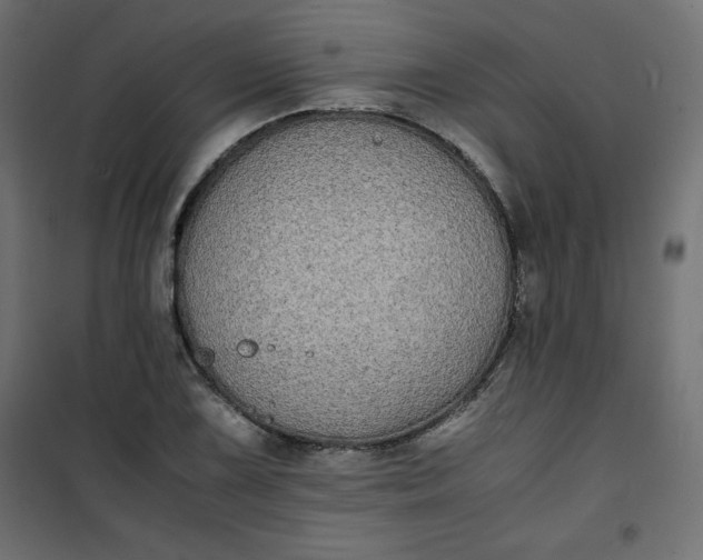 X0000100851075200807070927