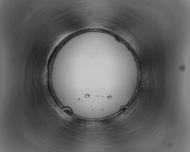 X0000100851076200807070927