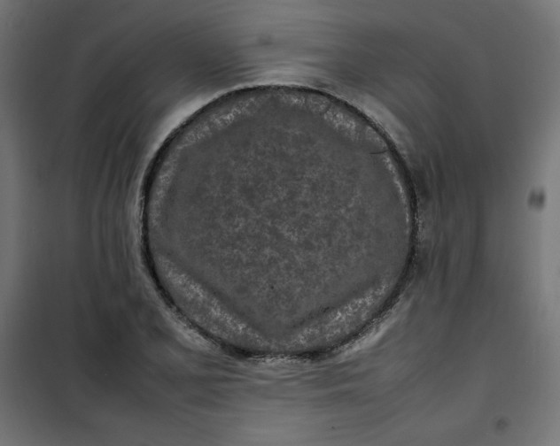 X0000100851077200807070927