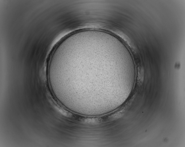 X0000100851078200807070927