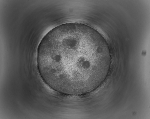 X0000100851079200807070927