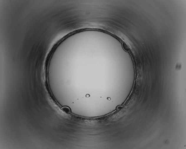 X0000100851080200807070927