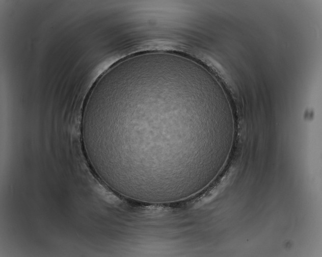 X0000100851081200807070927