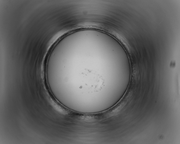 X0000100851082200807070927