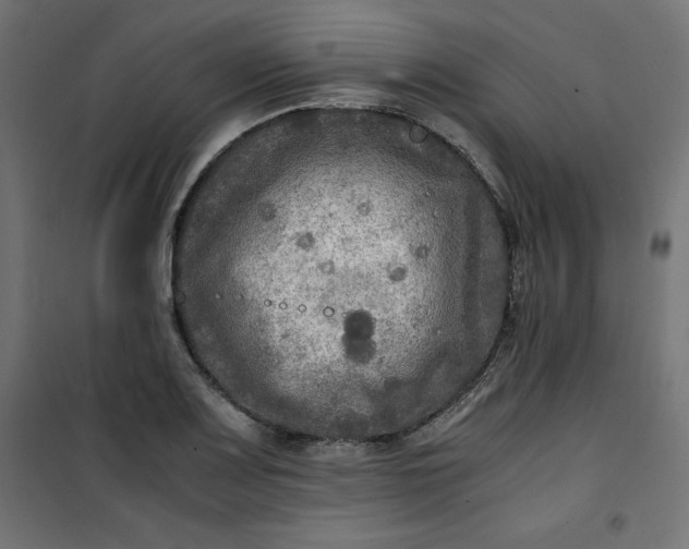 X0000100851083200807070927