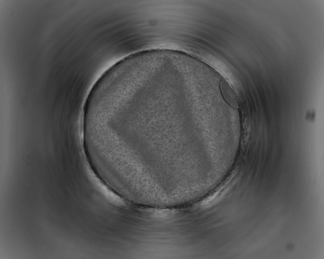 X0000100851084200807070927