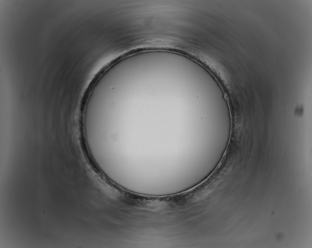 X0000100851085200807070927