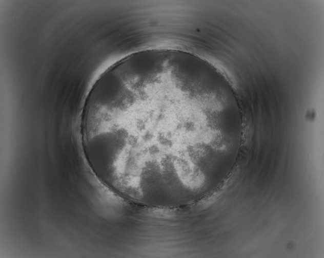 X0000100851086200807070927