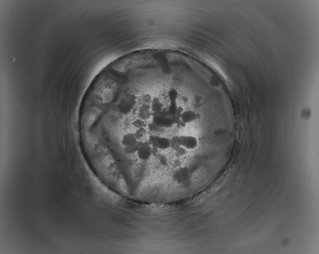 X0000100851087200807070927