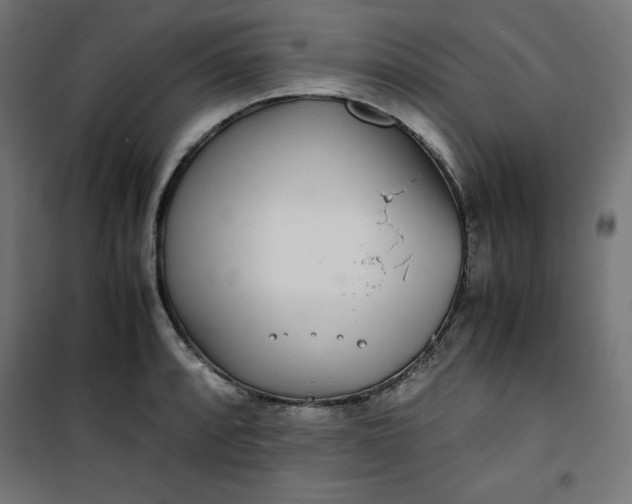 X0000100851088200807070927