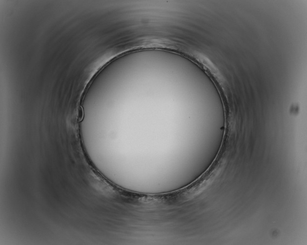 X0000100851089200807070927