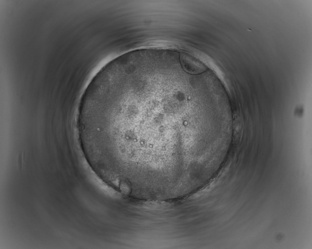 X0000100851091200807070927