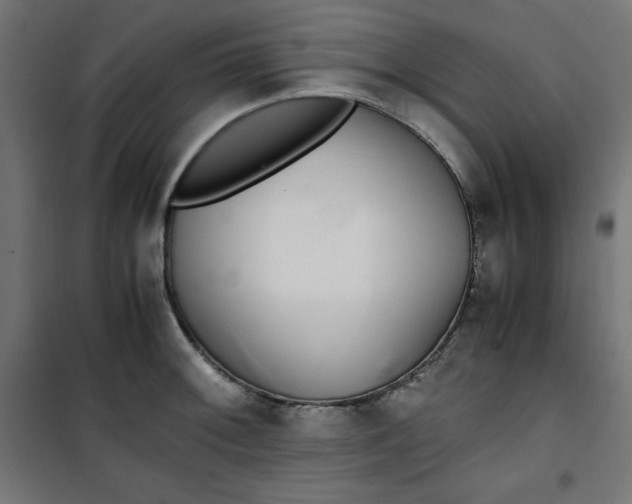 X0000100851092200807070927