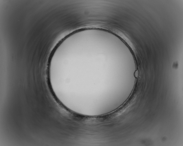 X0000100851093200807070927