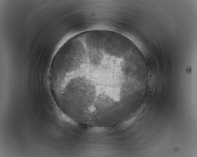 X0000100851094200807070927